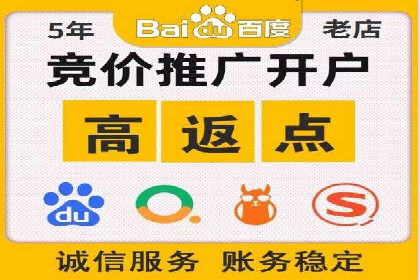 竞价SEM策略在金融行业的成功实践